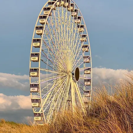Have A Stay! - Beachhouse Zonneweelde Noordwijk